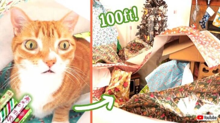 今年もクリスマスの破壊神が降臨した！包装紙に埋もれてハッピーな猫たち