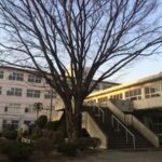 小学校の同窓会でヤバイことになってた奴等がいてブッたまげたんだがｗｗｗｗｗｗｗｗ