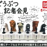 犬と猫が申し訳なさそうに謝罪するカプセルトイ「どうぶつ記者会見 」が販売中！