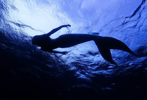 【衝撃】日本で「人魚のミイラ」分析プロジェクトが始動！！（画像あり）