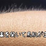 感動の音楽を聞くと鳥肌が立つ人と立たない人がいる。一体なぜ？そのメカニズムを解明（米研究）