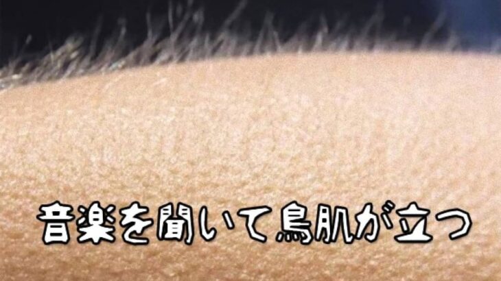 感動の音楽を聞くと鳥肌が立つ人と立たない人がいる。一体なぜ？そのメカニズムを解明（米研究）