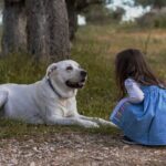 子供の頃の懐かしい思い出を振り返ることで物理的な痛みが軽減する