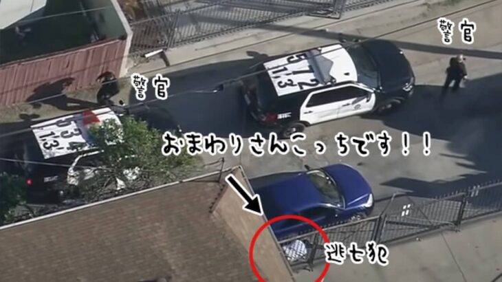 リアル逃走中。すぐそばの車の後ろに隠れた窃盗犯に気が付かない警官たちの右往左往