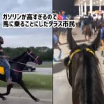 ガソリン代が高すぎるので、馬に乗ることにしたテキサス州の人々