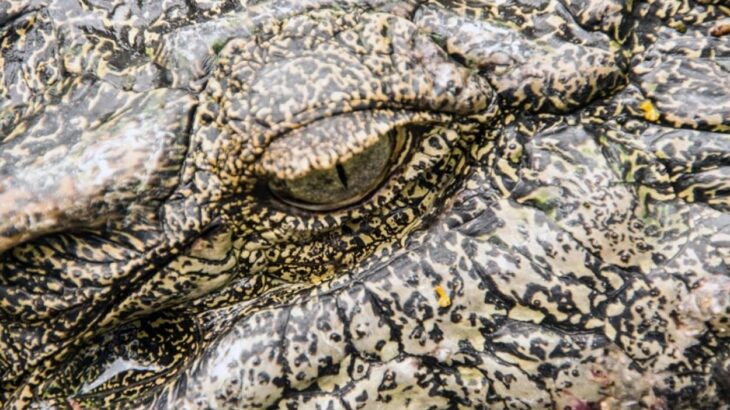 何かを食べると涙が流れる「ワニの涙症候群」の男性