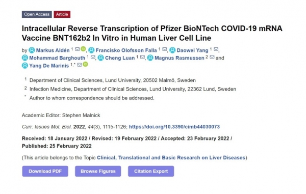 【逆転写】やはりワクチンmRNAは宿主細胞中でDNAに変換される…曝露後わずか6時間で、スウェーデンの論文より