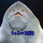 魚だって計算できる。エイとシクリッドは足し算と引き算ができることが判明