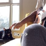 猫と共演できる喜び。飼い主のギターに合わせてニャ～♪