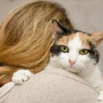 大家にペットを飼うことを拒否されないよう、猫と結婚した女性