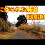 【画像】15年放置された道路がヤバい→実際に通ってみた結果…