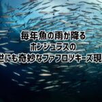 毎年必ず魚の雨が降る、ホンジュラスの奇妙なファフロツキーズ現象