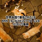 人間が猫を選ぶのではない。猫が飼い主を選んでいるのだ。しているのだ。世界のNNN活動報告事例