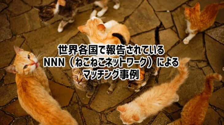 人間が猫を選ぶのではない。猫が飼い主を選んでいるのだ。しているのだ。世界のNNN活動報告事例