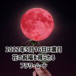 5月16日は満月。花の祝福を全身で受け止めよう！