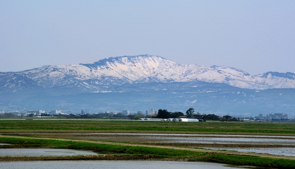 山形「日本で唯一全市町村に温泉があります。即神仏います。自然災害ないです」 ← ここに住まない理由