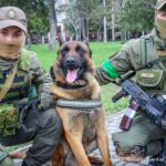 ロシア軍に放棄された軍犬が救助され、ウクライナの軍犬に