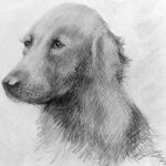 ヒトラーが描いた犬の絵ｗｗｗｗｗｗｗｗｗｗ