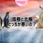 北極と南極、どっちの方が寒いの？