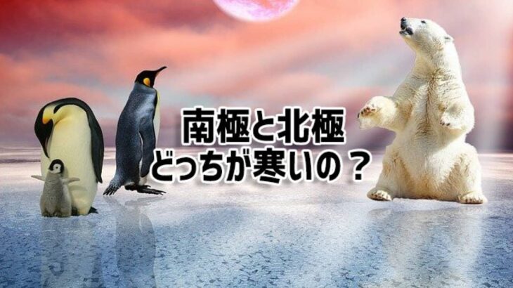 北極と南極、どっちの方が寒いの？