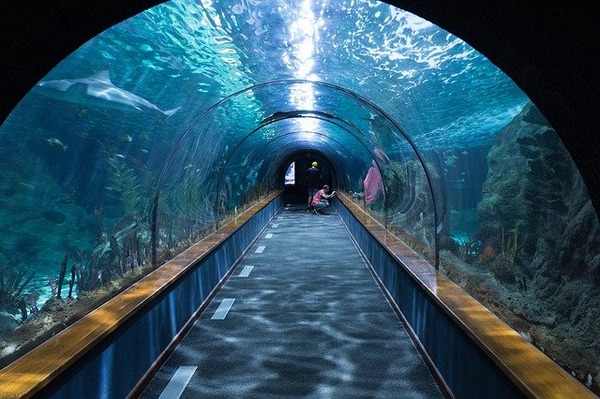 【画像】彼女が水族館デートに着てきた服がこれｗｗｗｗｗｗｗ