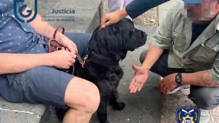 警察犬が児童ポルノ犯罪容疑者の逮捕に貢献。不審なメモリデバイスを嗅ぎ分ける