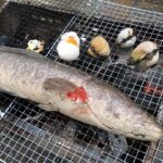 ベトナム人が水路で謎の巨大魚を捕獲してBBQやった結果ｗｗｗｗｗｗｗｗｗｗ