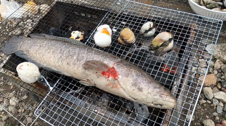 ベトナム人が水路で謎の巨大魚を捕獲してBBQやった結果ｗｗｗｗｗｗｗｗｗｗ