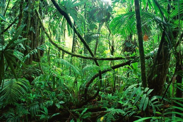 【閲覧注意】地球上で最も危険な生物、ガチでこいつだよな…名前からしてヤバすぎるだろうｗｗｗｗ