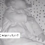 赤ちゃんが眠るベビーベッドに謎の動く物体が出現！