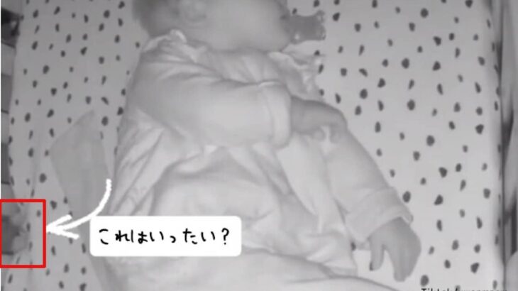 赤ちゃんが眠るベビーベッドに謎の動く物体が出現！