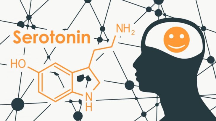 うつ病はセロトニン不足によって生じる、という従来の説に科学的根拠が得られず