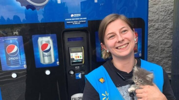 自動販売機の中に子猫！救出後、発見者の女性が家族に迎え入れる