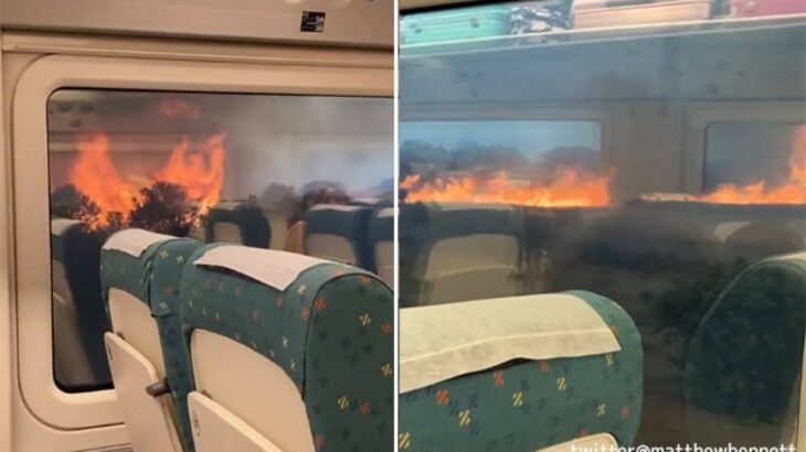 ヨーロッパを襲う熱波、山火事に囲まれた列車が緊急停車する事態に