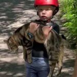 「ボク、にゃんこを拾ったの！」サイクリングの途中で猫と出会った男の子、抱きかかえてパパとママに見せに来る