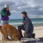 飼い主のプロポーズの瞬間、犬は指輪を埋めるために穴を掘り始めた？