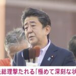 【衝撃】安倍元総理を撃った犯人、元の職業が判明・・・・ これ、ガチのやつだ(犯人画像ｱﾘ)