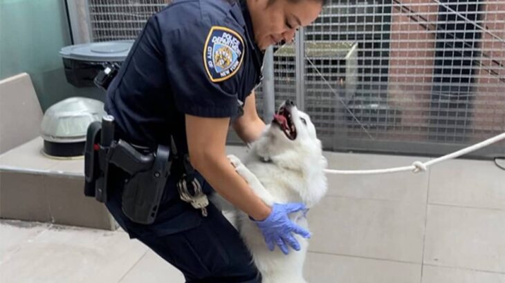 熱い車内に放置されていた犬を救い出した警察官、その犬を家族に迎え入れる