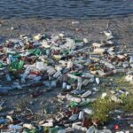 病原体が海を浮遊するプラスチックゴミで繁殖し、世界中に広がっている可能性