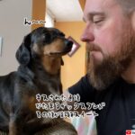 ん？これってもしかして？愛犬にキスした後の反応が超絶スイート