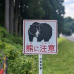 【閲覧注意】｢ヒグマが崖を上ってくる！…せや！石投げたろｗ｣→結果ｗｗｗｗｗｗｗｗｗｗ(動画ｱﾘ)