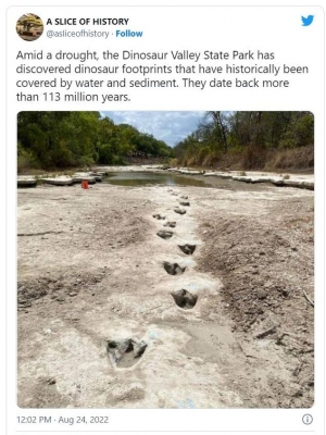 【アメリカ】干上がった川の底から「恐竜の足跡」を発見