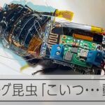 【防災】ゴキブリを「サイボーグ化」、理研など成功…災害救助に活躍期待