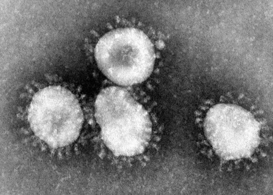 【コロナ新規感染】日本、7週連続で世界最多の模様