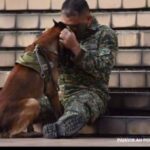 間もなくやってくる親友との別れ。相棒の軍用犬を抱きしめる兵士の姿がせつなくて…