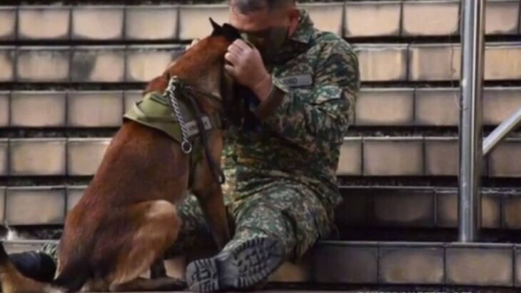 間もなくやってくる親友との別れ。相棒の軍用犬を抱きしめる兵士の姿がせつなくて…