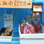 【悲報】無人販売店、人件費をケチった結果・・・