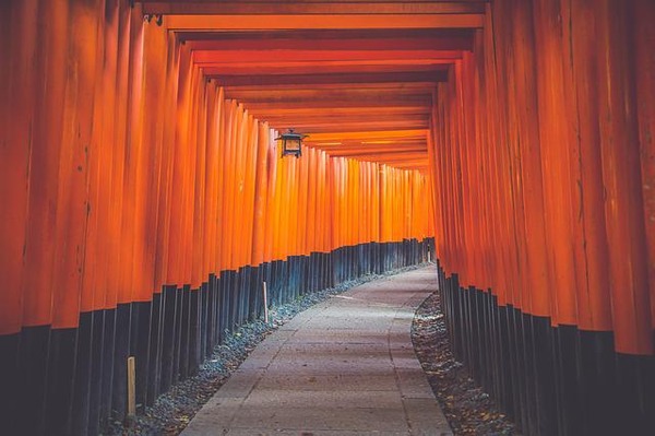 霊感が強すぎて三つの神社をクビになった神職だけど質問ある？「呪いの樹と藁人形」