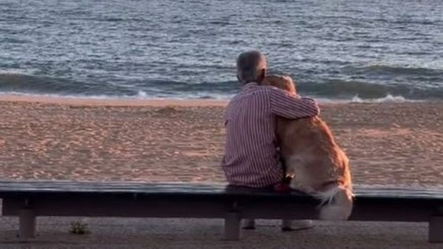 飼い犬を抱きしめてながら一緒に夕日を見る男性の姿に感動の涙