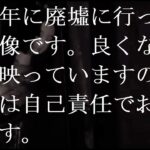 【閲覧注意】結局この心霊映像ってマジなの？